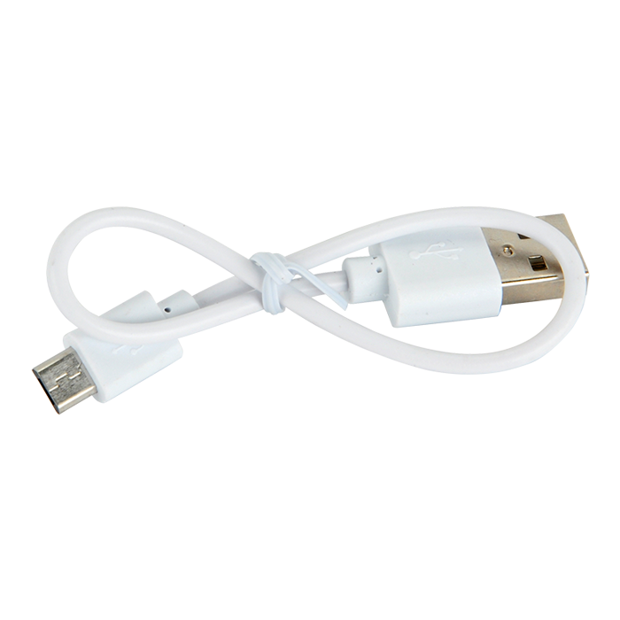 BE0062 - Plastic 2200 mAh Powerbank