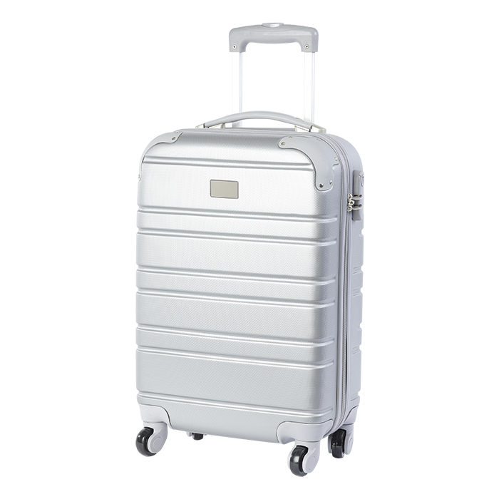 BB0131 - Hard Shell Cabin Bag Silver / STD / Last Buy - Bags