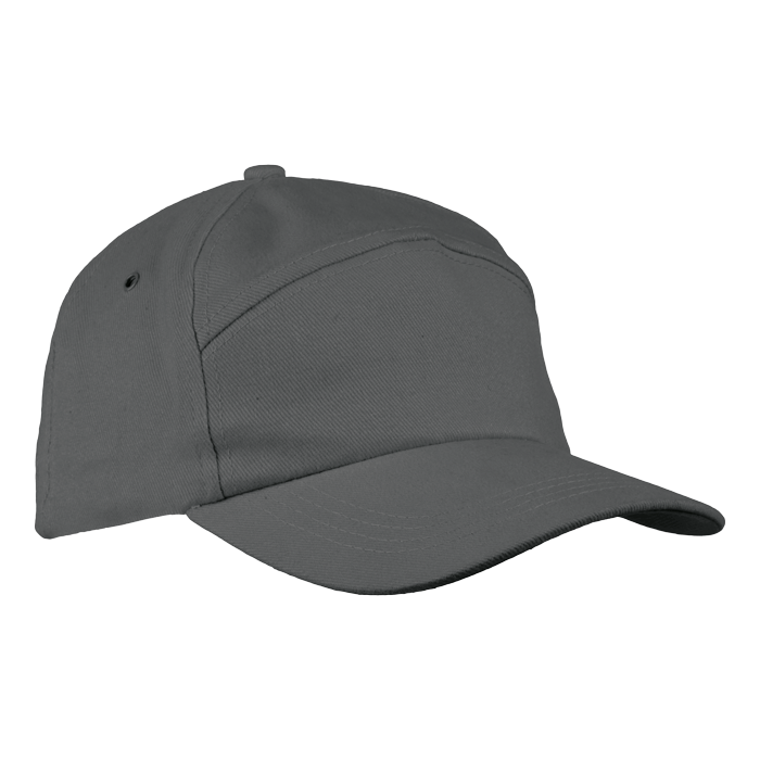 6 Panel Carbon Cap Grey / STD / Regular - Caps