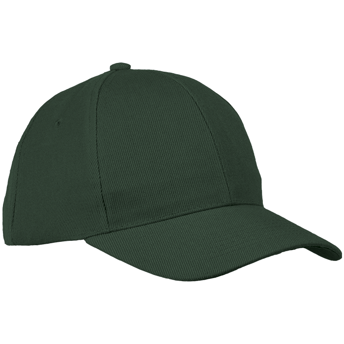 6 Panel Raven Cap Bottle / STD / Last Buy - Caps