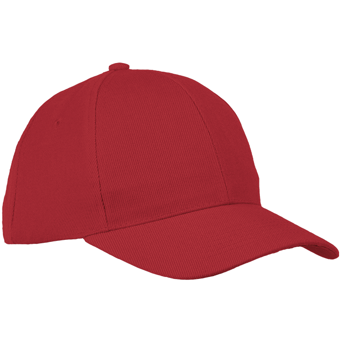 6 Panel Raven Cap - Caps