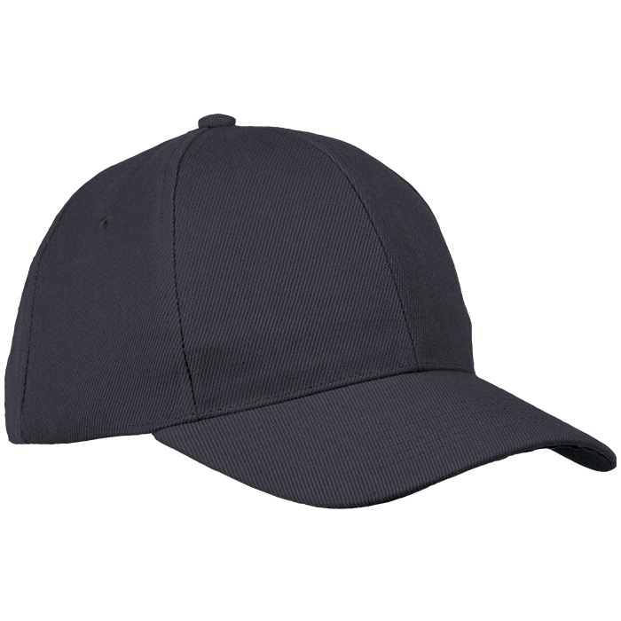 6 Panel Raven Cap Black / STD / Regular - Caps