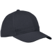 6 Panel Raven Cap Black / STD / Regular - Caps