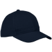 6 Panel Raven Cap  Navy / STD / Regular - Caps