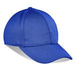 Ace Cap - 6 Panel-