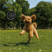 Benji Pet Set - Pets,Pet Accessories,Pets