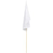 Champion Medium Hand Flag 450mm x 300mm - Indoor Flags