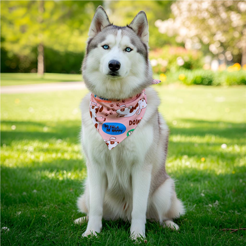 Pre-Printed Sample Custom Bosco Large Polyester Dog Bandana L / SOLID WHITE - Pet Accessories