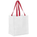 Pre-Production Sample Custom Gateway Recycled PET Stitch-Bond Shopper - and Tote Bags