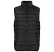 Mens Norquay Insulated Bodywarmer-