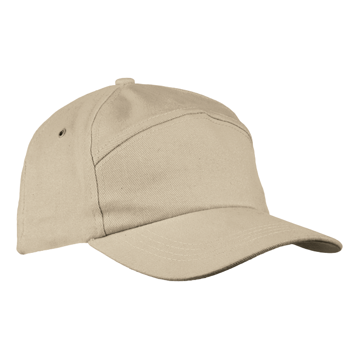 6 Panel Carbon Cap